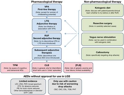 Expert Opinion on the Management of Lennox–Gastaut Syndrome: Treatment Algorithms and Practical Considerations